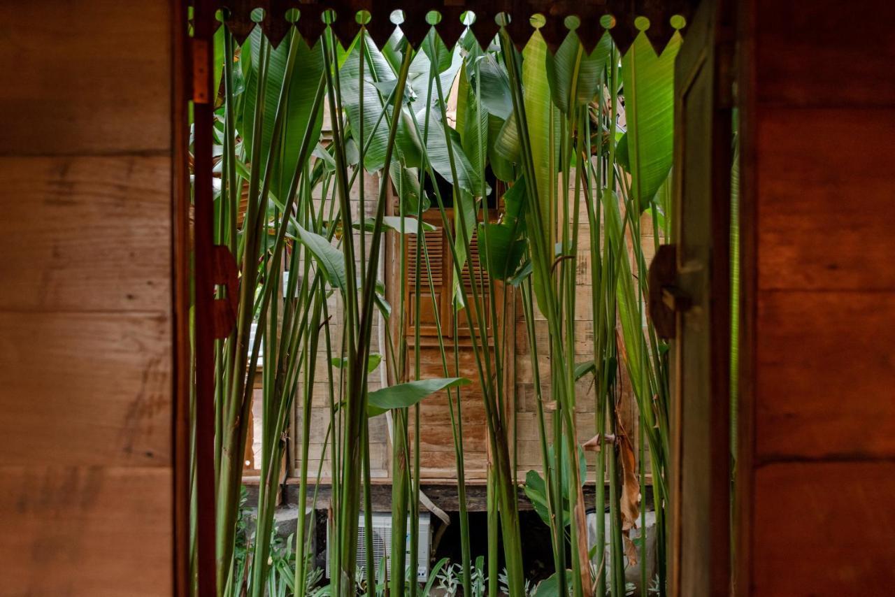 Moson Villa Legian المظهر الخارجي الصورة